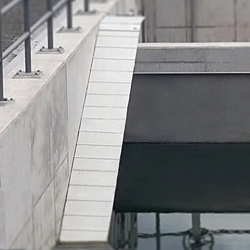 Toad stairs leading out of a water basin