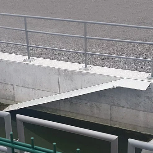 Frog ladder on the side wall of a rainwater basin